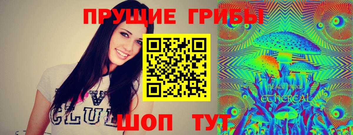 Обнинск  Галлюциногенные грибы GOLDEN TEACHER  Вход с VPN 